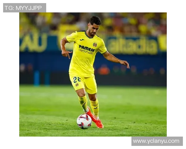 平庸资质却闪耀绿茵场的足球明星们的奋斗与坚持