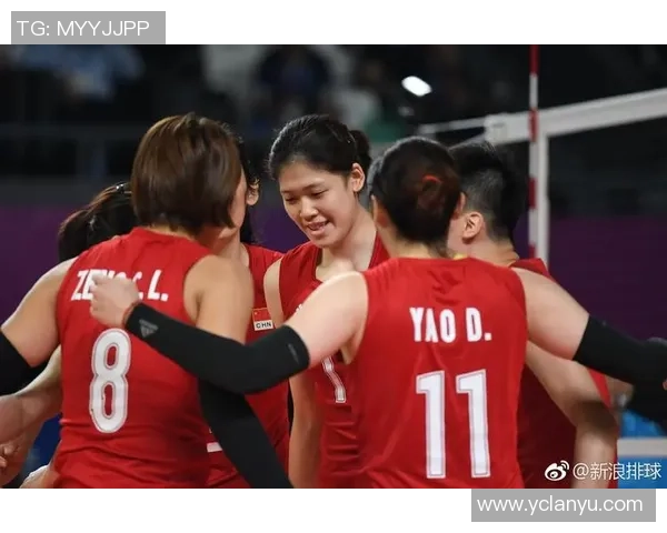 北京排球队技术争议引发热议球迷专家各抒己见探讨战术与表现