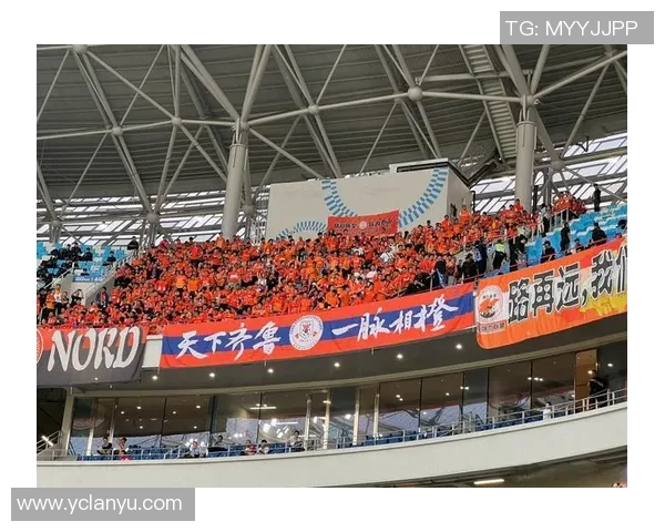 成都乒乓球队状态引发热议球迷与专家观点碰撞激烈