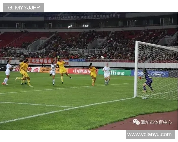 新西兰足球明星现役阵容全面解析与球员介绍