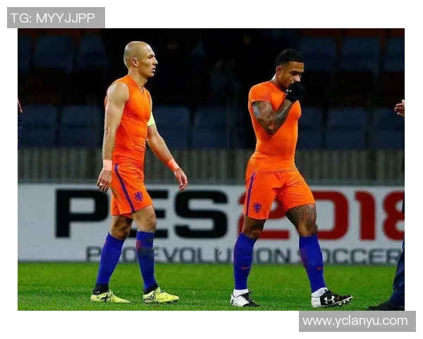 足球明星德佩的全名及其职业生涯成就分析