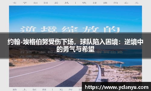 yy体育