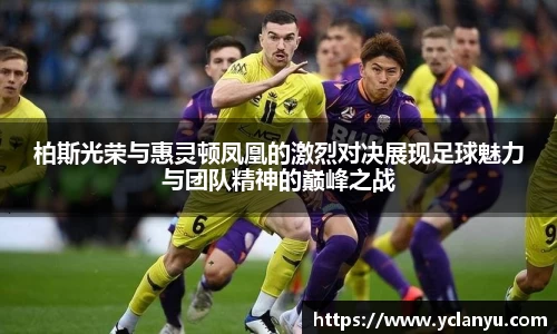 威廉希尔官网